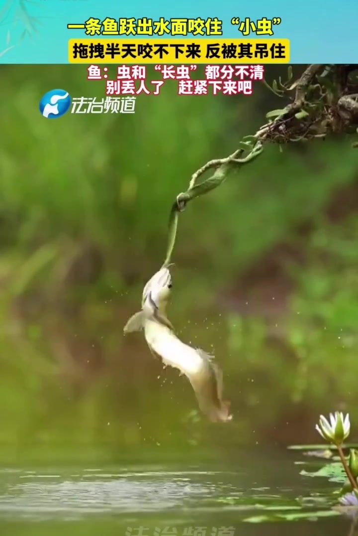 这个兄弟能处，有危险，他是真的救啊