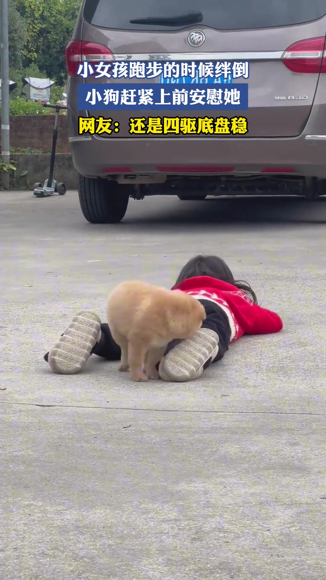 小女孩跑步的时候绊倒，小狗赶紧上前安慰她，还是四驱底盘稳！