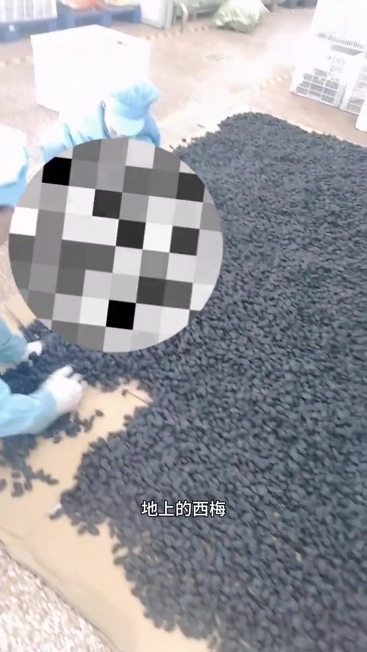 西梅减肥的原因找到了
