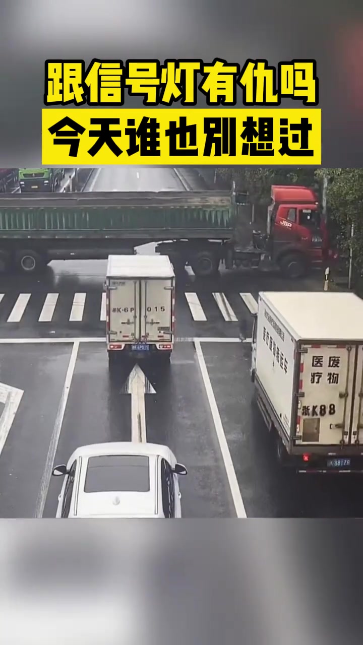 跟信号灯有仇吗今天谁也别想过