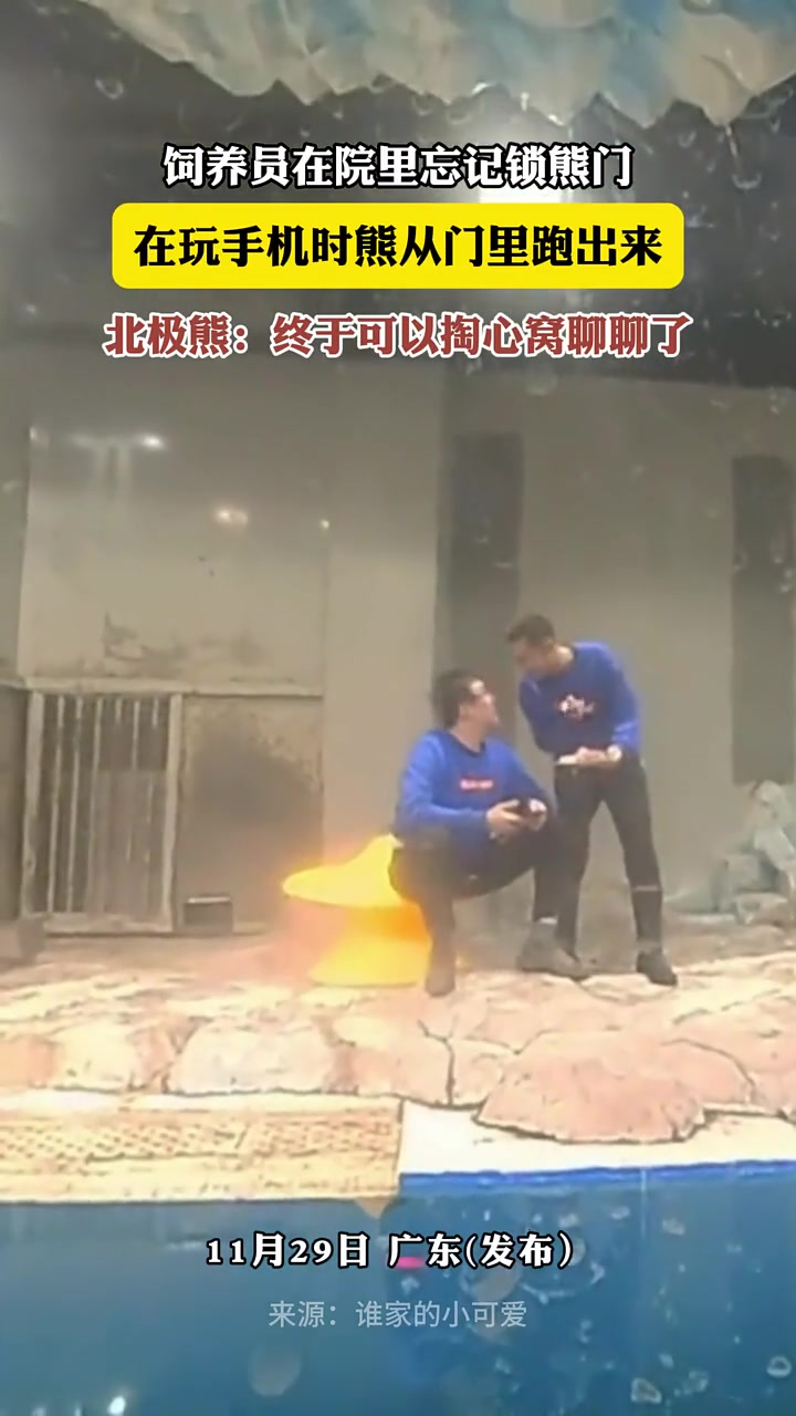 饲养员在院里忘记锁熊门，在玩手机时熊从门里跑出来