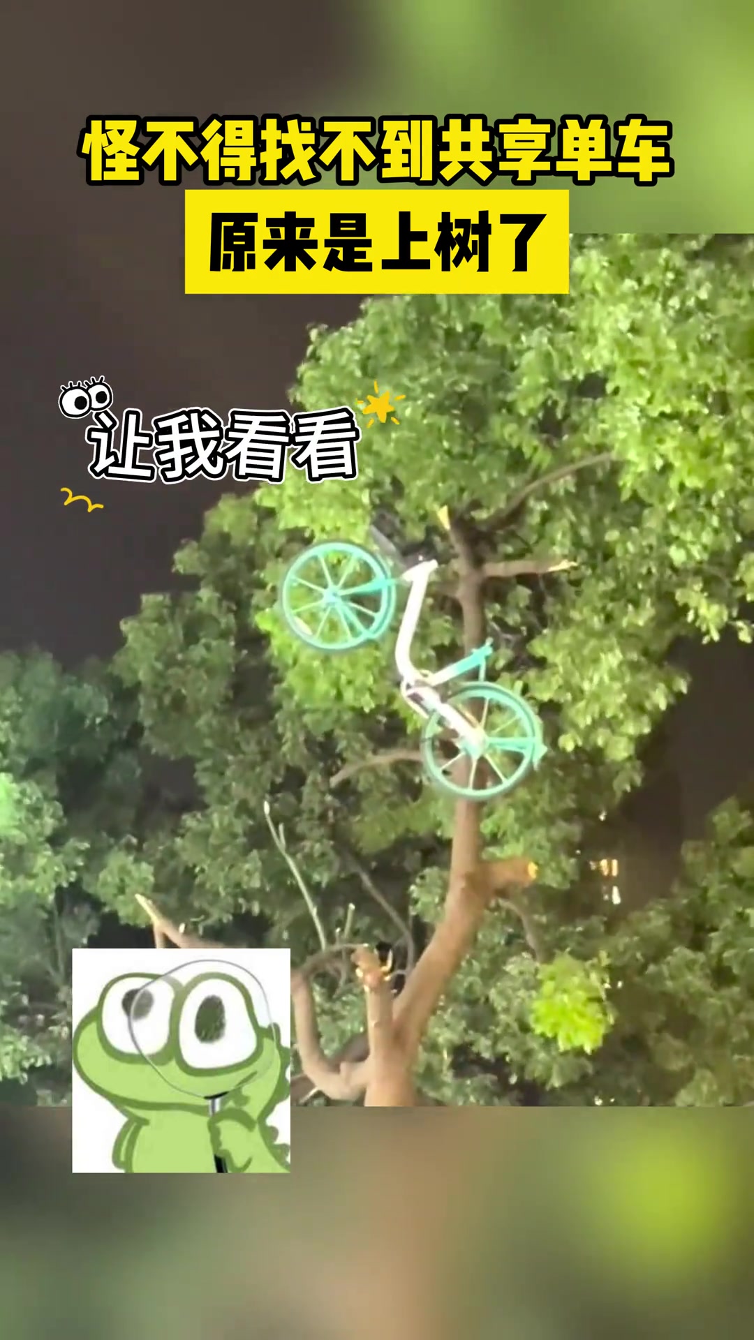 怪不得找不到单车了原来是上树了