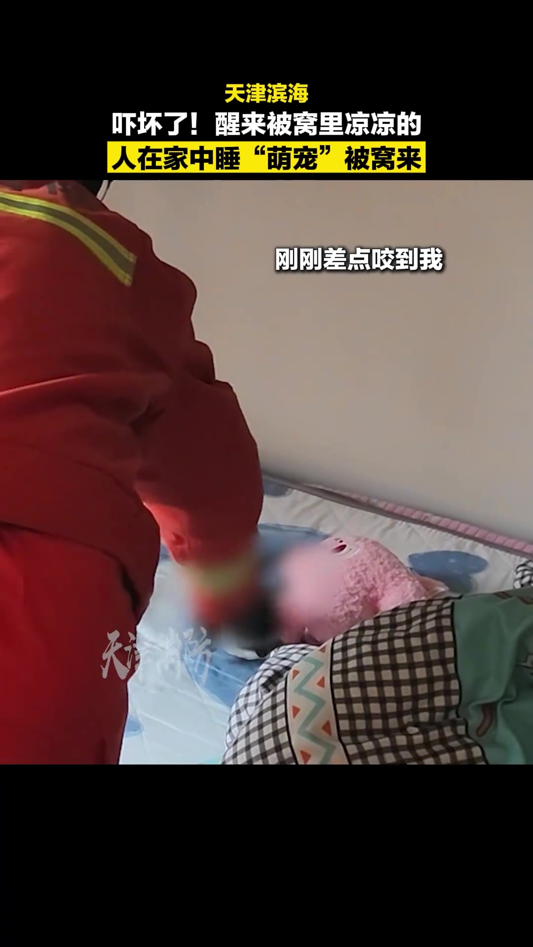 惊吓！小哥一觉醒来被窝里藏着条蛇