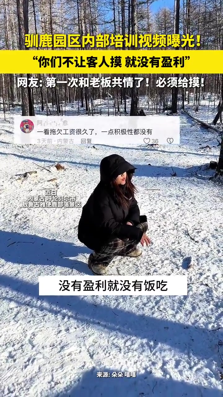 驯鹿园区内部培训视频曝光！“你们不让客人摸就没有盈利”
