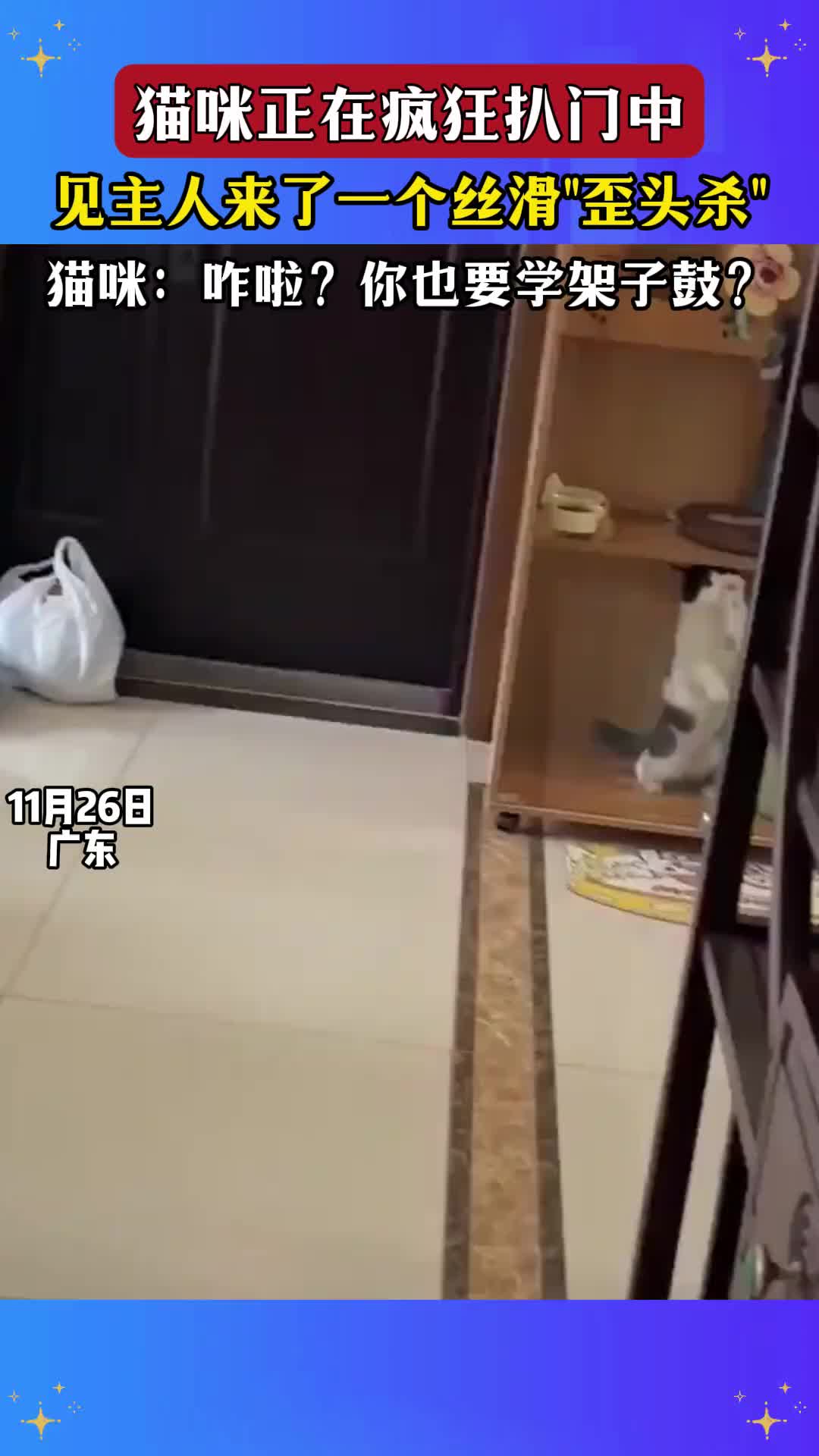 猫咪：咋啦你也要学架子鼓