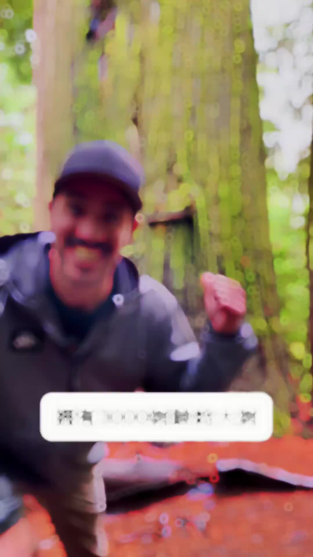 世界上最大的树，“巨人之森”是真实存在的！