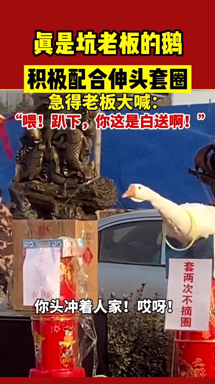 鹅你炸呼啥！这破班爱谁上谁上，我是够够的