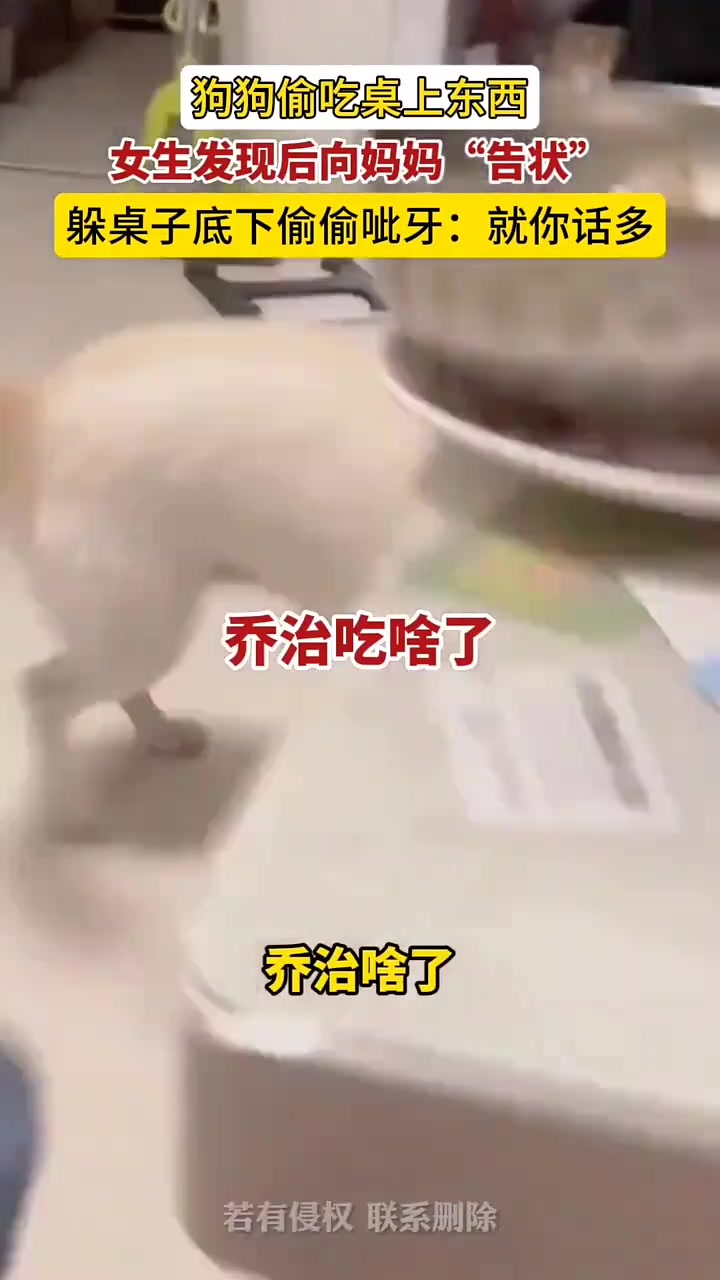 小狗：好好好就你话多