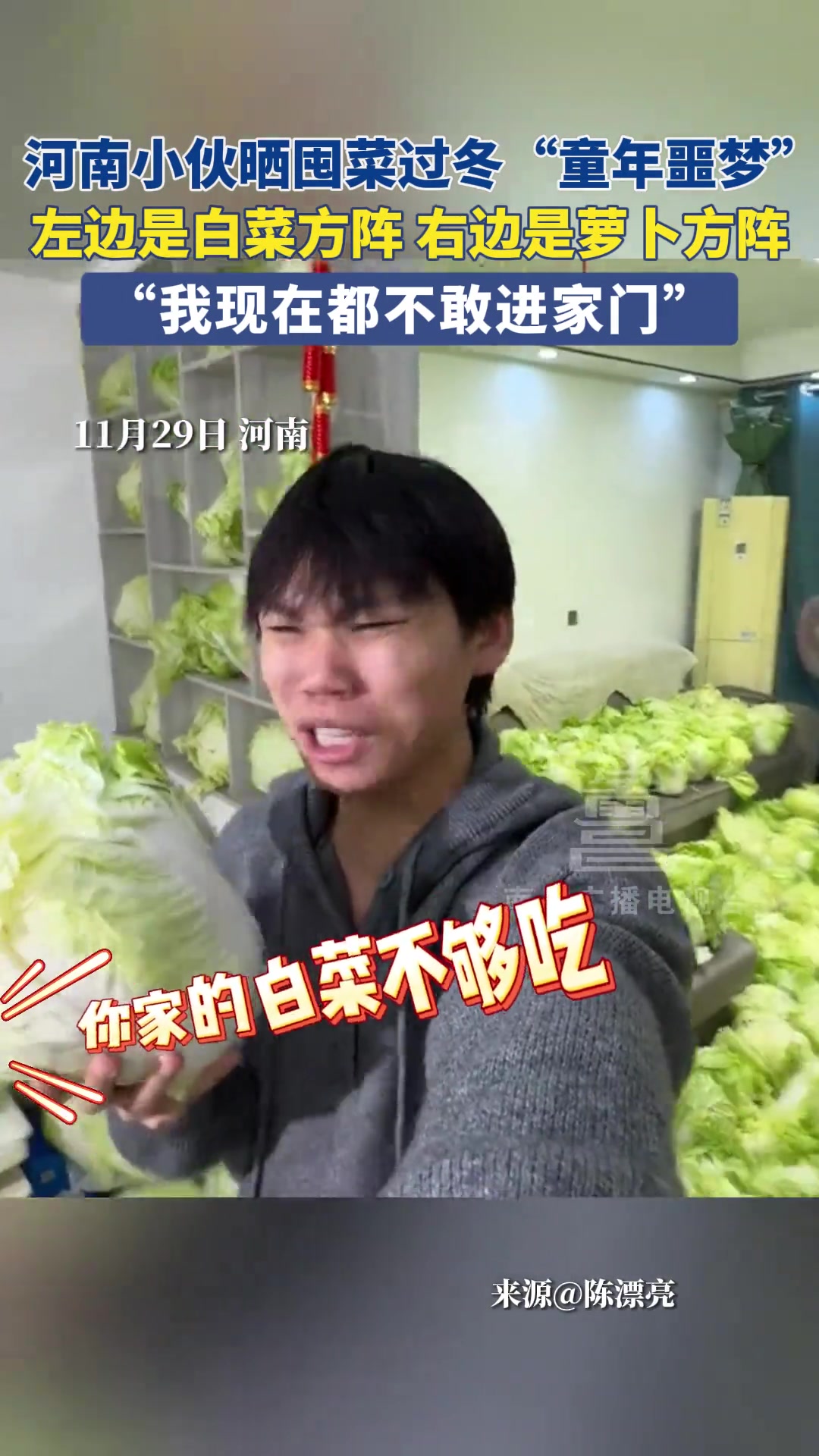 小伙晒囤菜过冬“童年噩梦”左边是白菜方阵右边是萝卜方阵