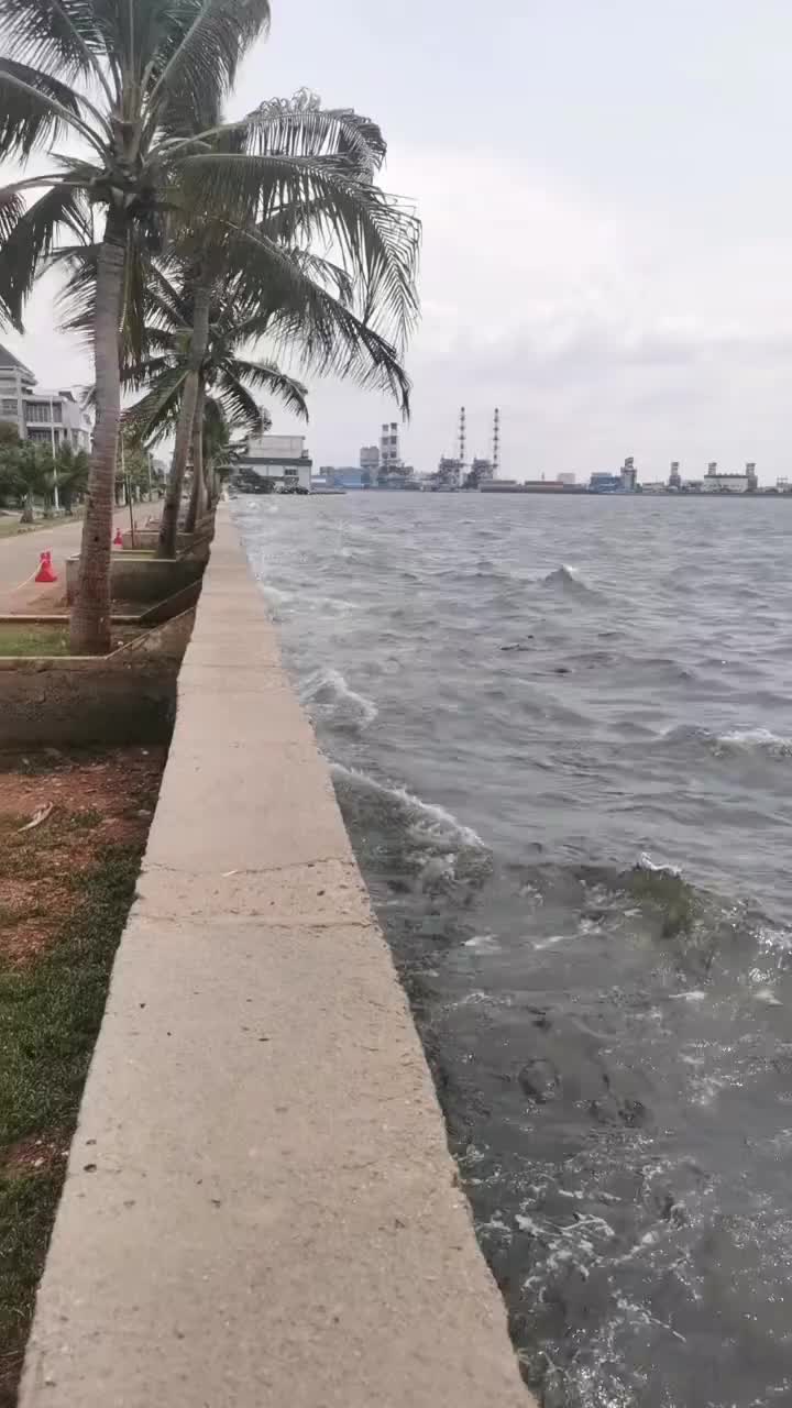 再过几年这个海鲜饭店都不用进货了！