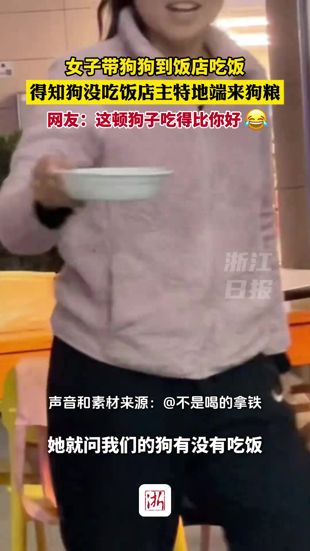 女子带狗狗到饭店吃饭，得知狗没吃饭店主特地端来狗粮