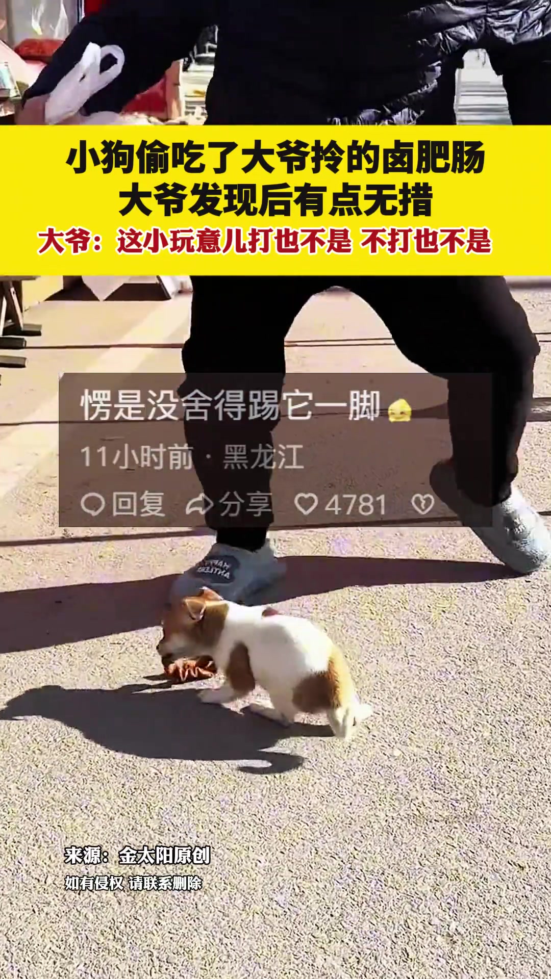 小狗偷吃大爷拎的卤肥肠大爷发现后有点无措