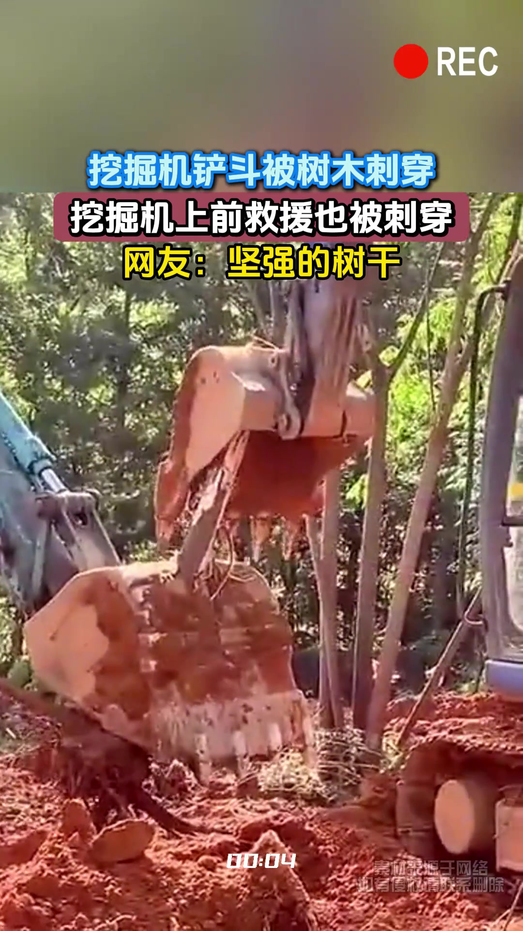 挖掘机铲斗被树木刺穿，挖掘机上前救援也被刺穿