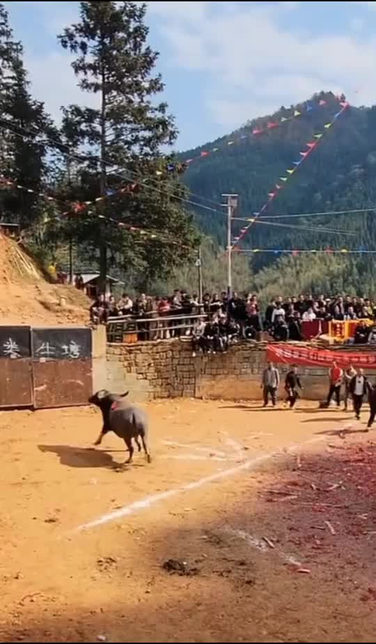 万万没想到啊！杀敌一千自损八百！
