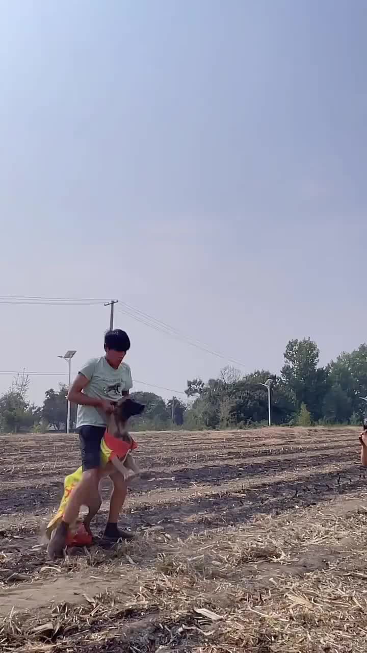 下来的时候看得我有点紧张啊！