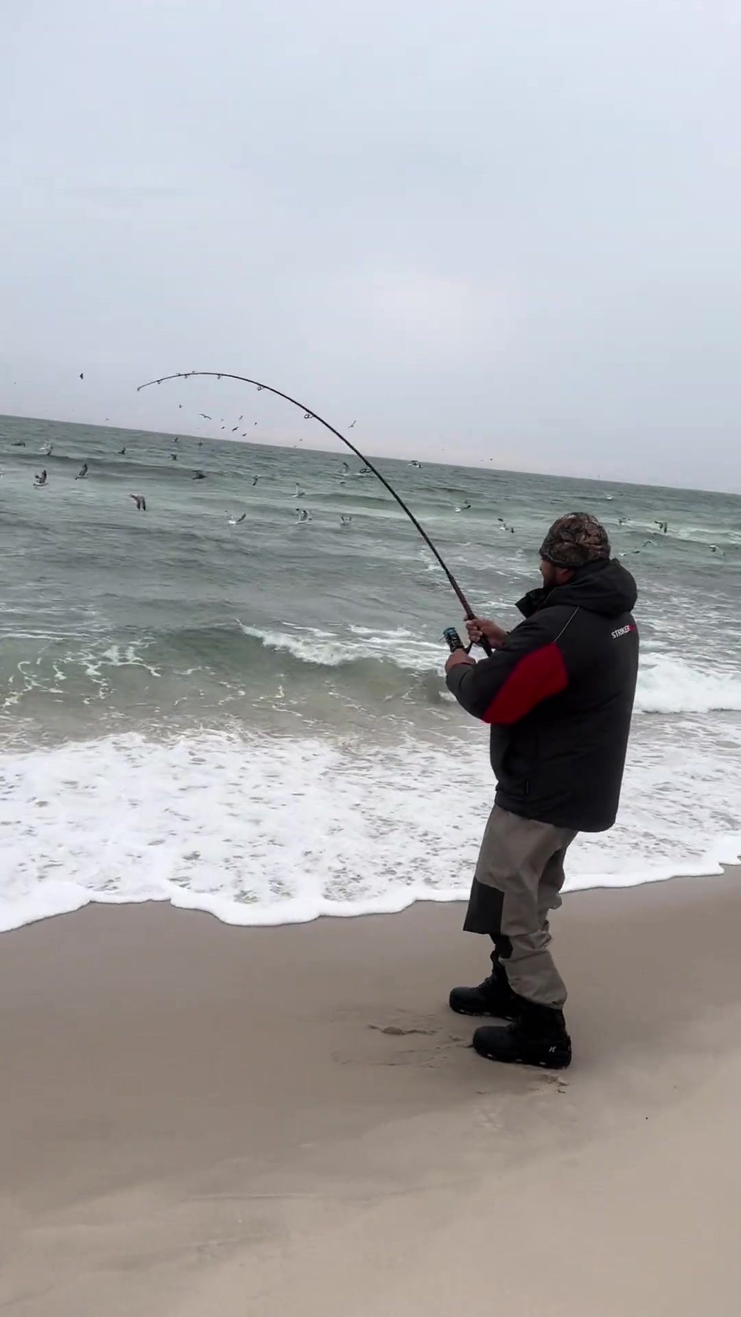 有鸟的海随便钓