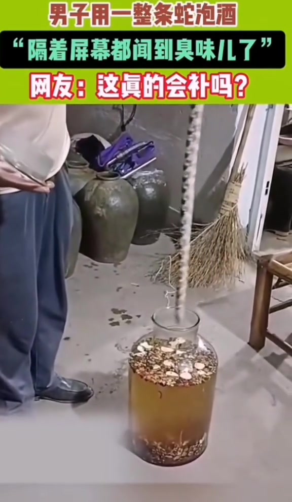 男子用一整条蛇泡酒
