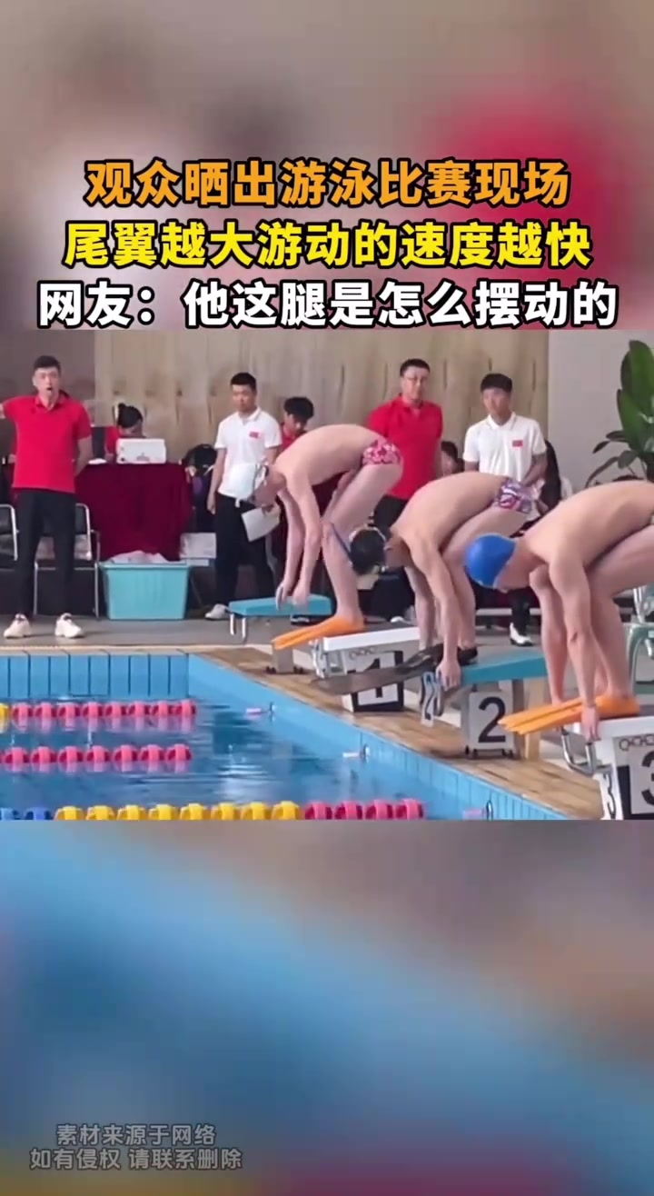 观众晒出游泳比赛现场，尾翼越大游动速度越快