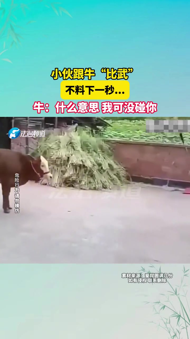 小伙跟牛“比武”不料下一秒....牛什么意思我可没碰你