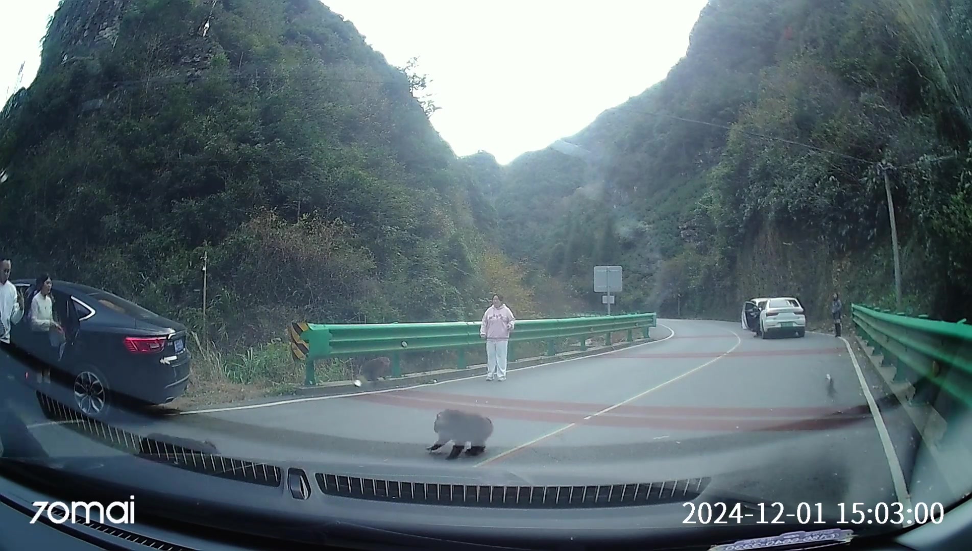 猴子成精没有给猴子吃的就扒裤子