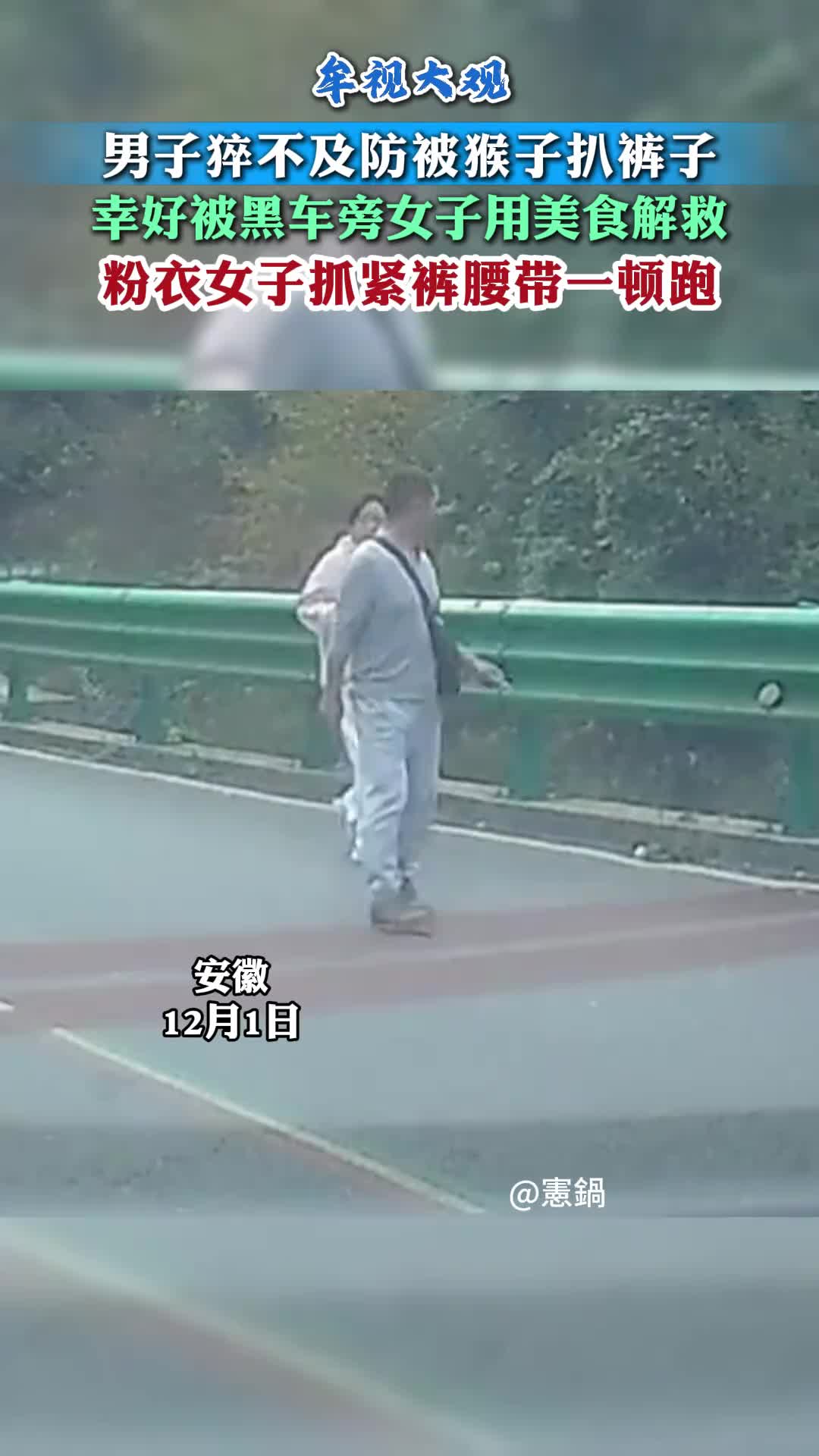 这猴子真的是猖獗啊！