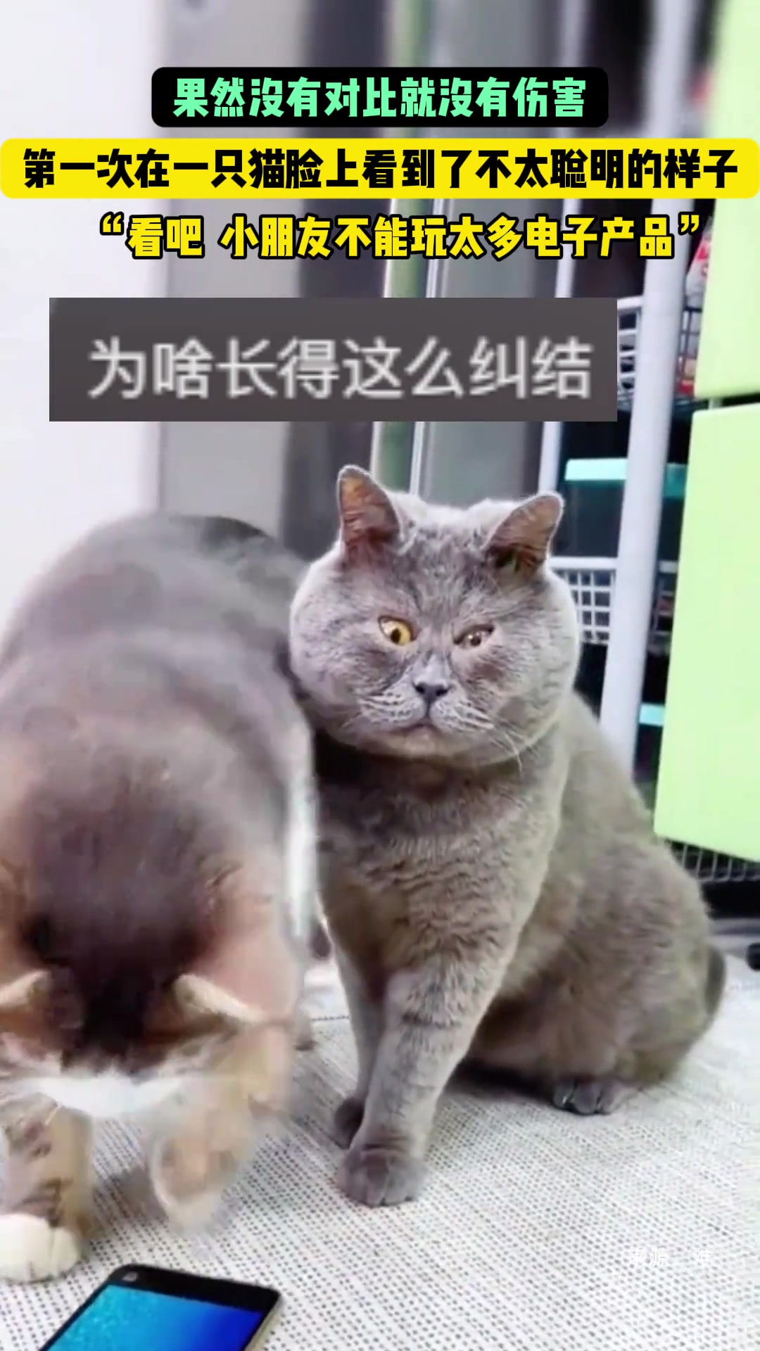 果然没有对比就没有伤害