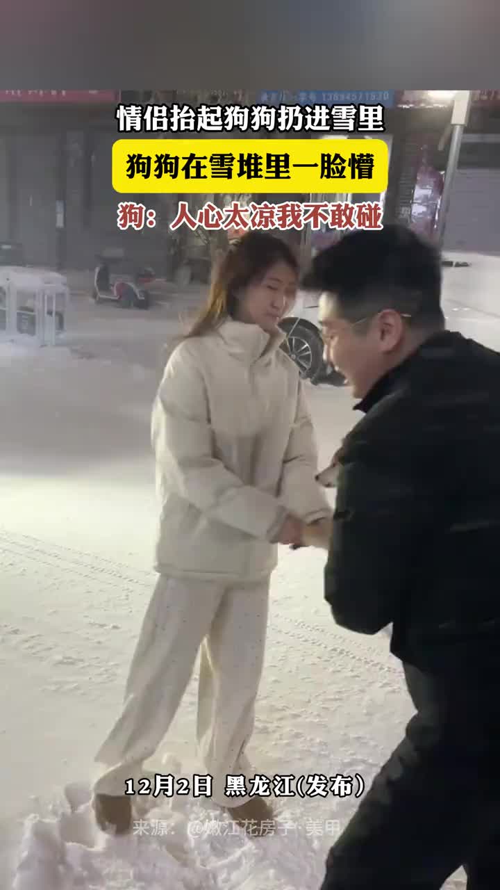 狗：人心太凉我不敢碰