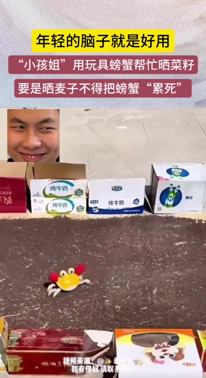 年轻的脑子就是好用！！