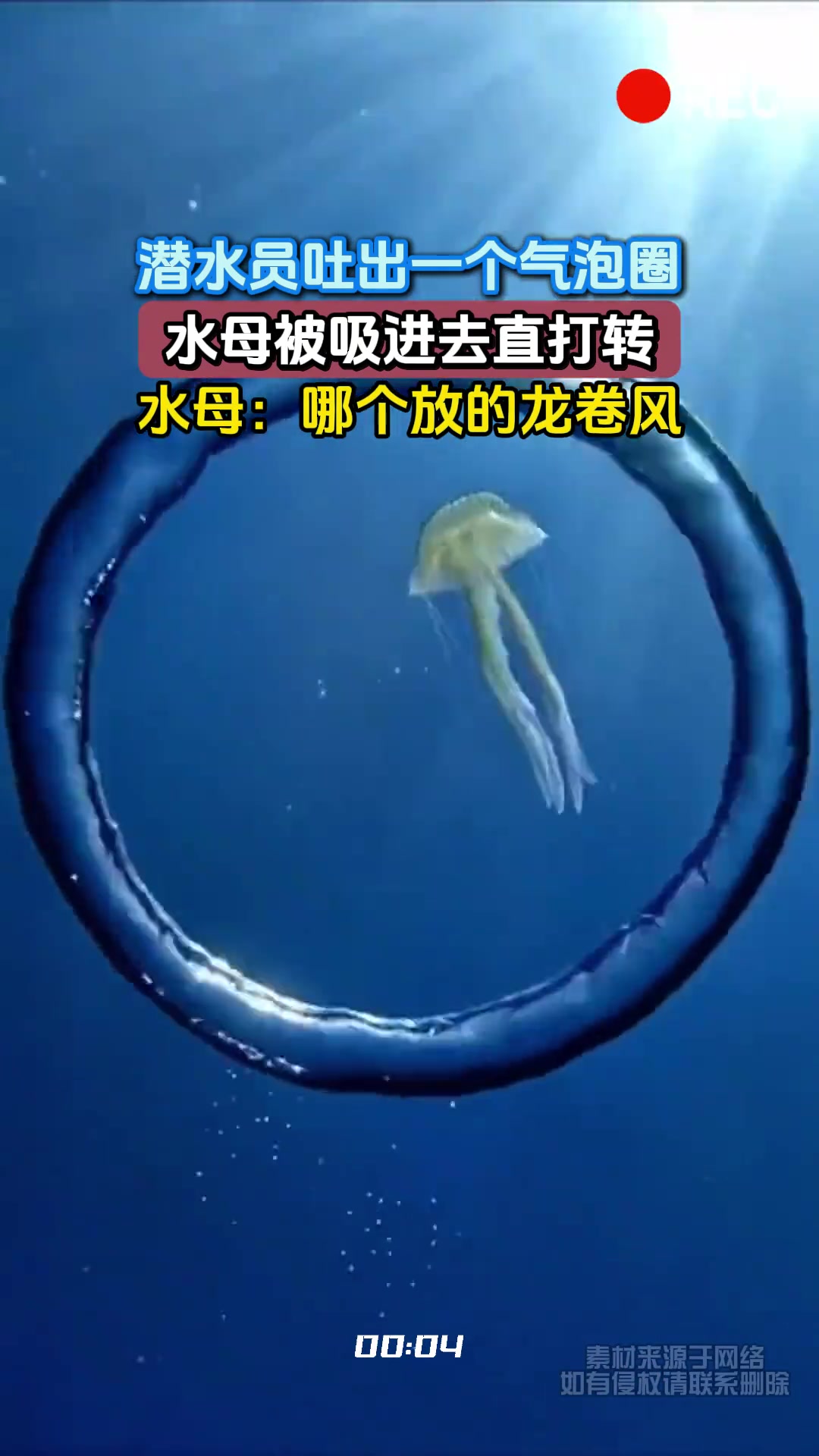 潜水员吐出一个气泡圈，水母被吸进去直打转