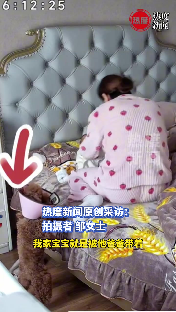 狗狗遛弯回家后发现宝宝不见了，站在床上崩溃大叫