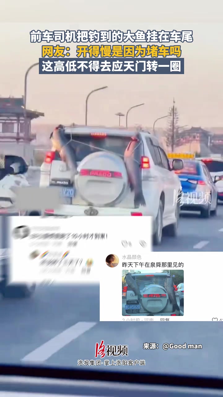 前车司机把钓到的大鱼挂在车尾，网友：开这么慢是因为堵车吗