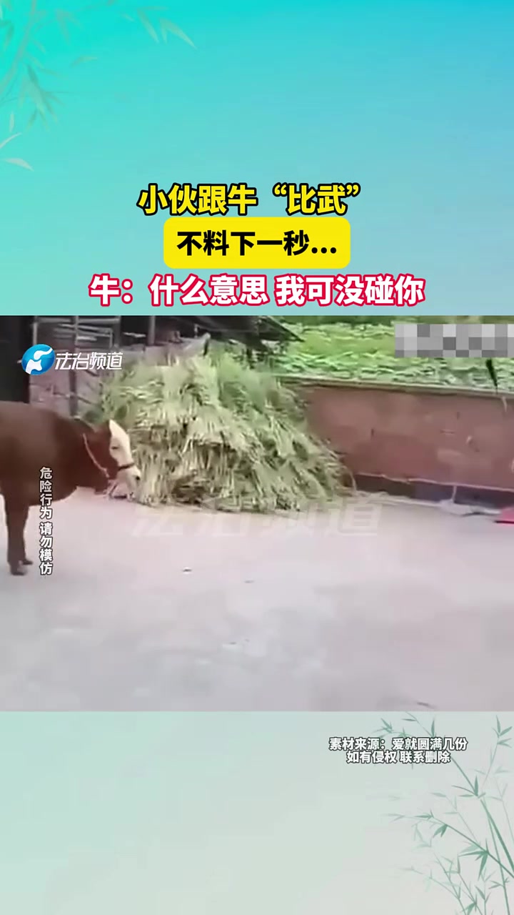小伙跟牛“比武”不料下一秒....牛什么意思我可没碰你