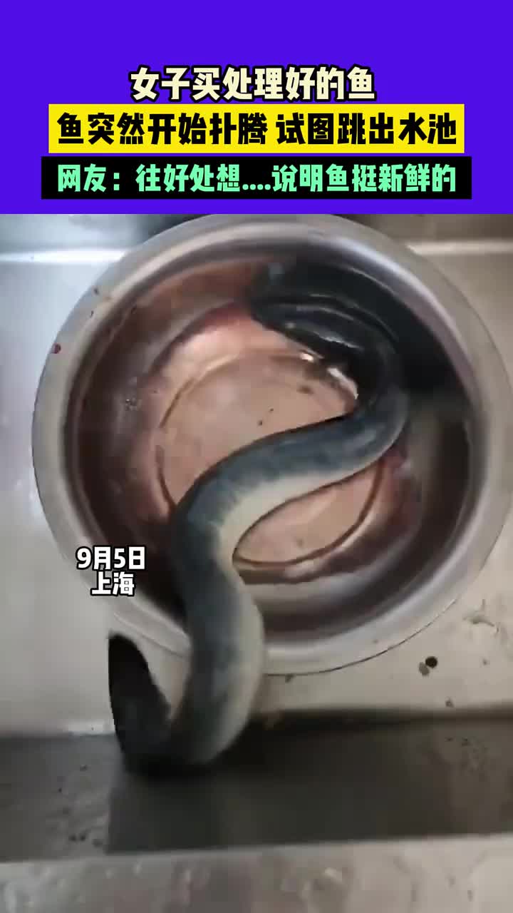 女子买处理好的鱼，鱼突然开始扑腾，试图跳出水池！