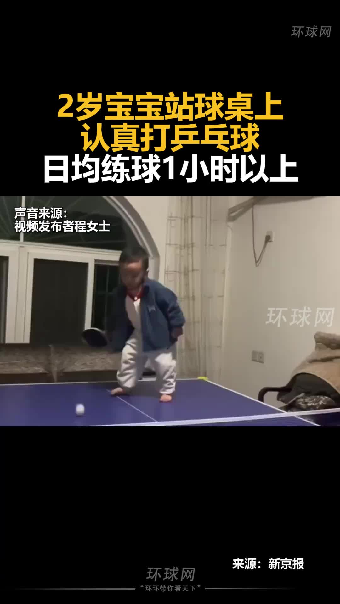 2岁宝宝站球桌上认真打乒乓球，日均练球1小时！
