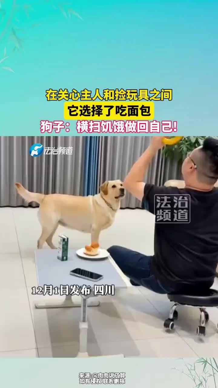 狗子：心想救，腿想追，最终抵不过嘴想吃！