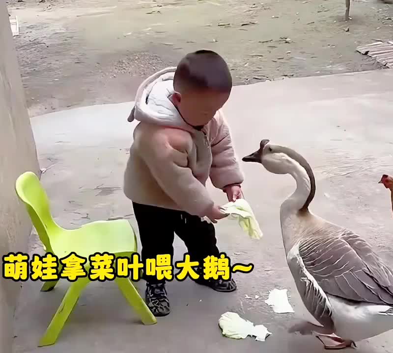 为什么我们小时候那么害怕