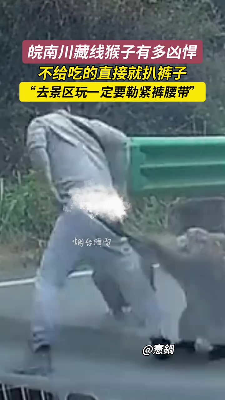 川藏线猴子有多凶悍，一言不合就扒裤子去玩一定要注意勒紧裤腰带
