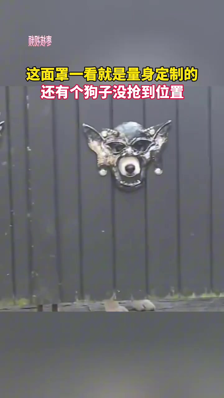 这面罩一看就是量身定制的