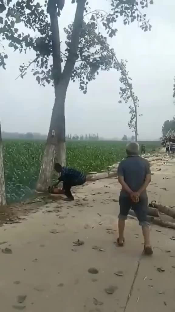 这是在抢什么啊