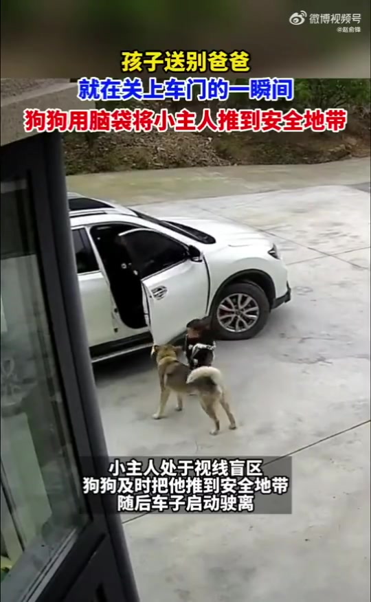 孩子送别爸爸，就在关上车门的一瞬间