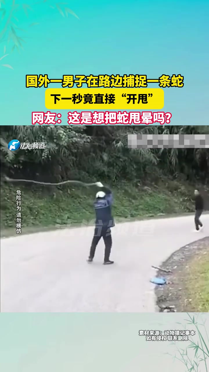 外一男子在路边捕捉一条蛇，下一秒竟直接“开甩”