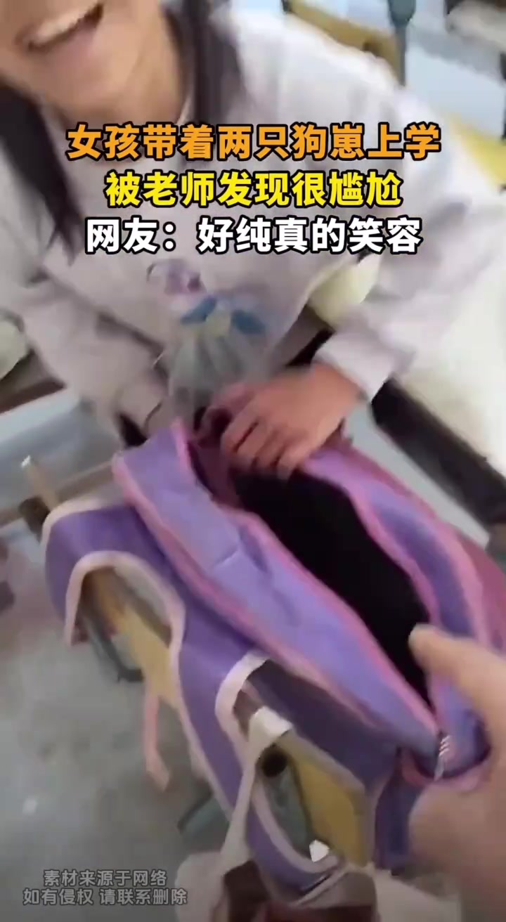 女孩带着两只狗仔上学，被老师发现很尴尬