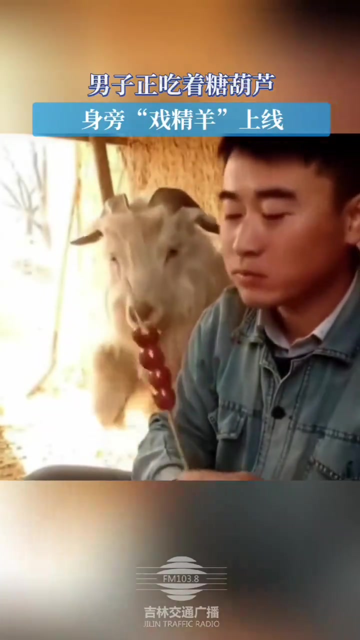 男子正吃着糖葫芦，身旁“戏精羊”上线