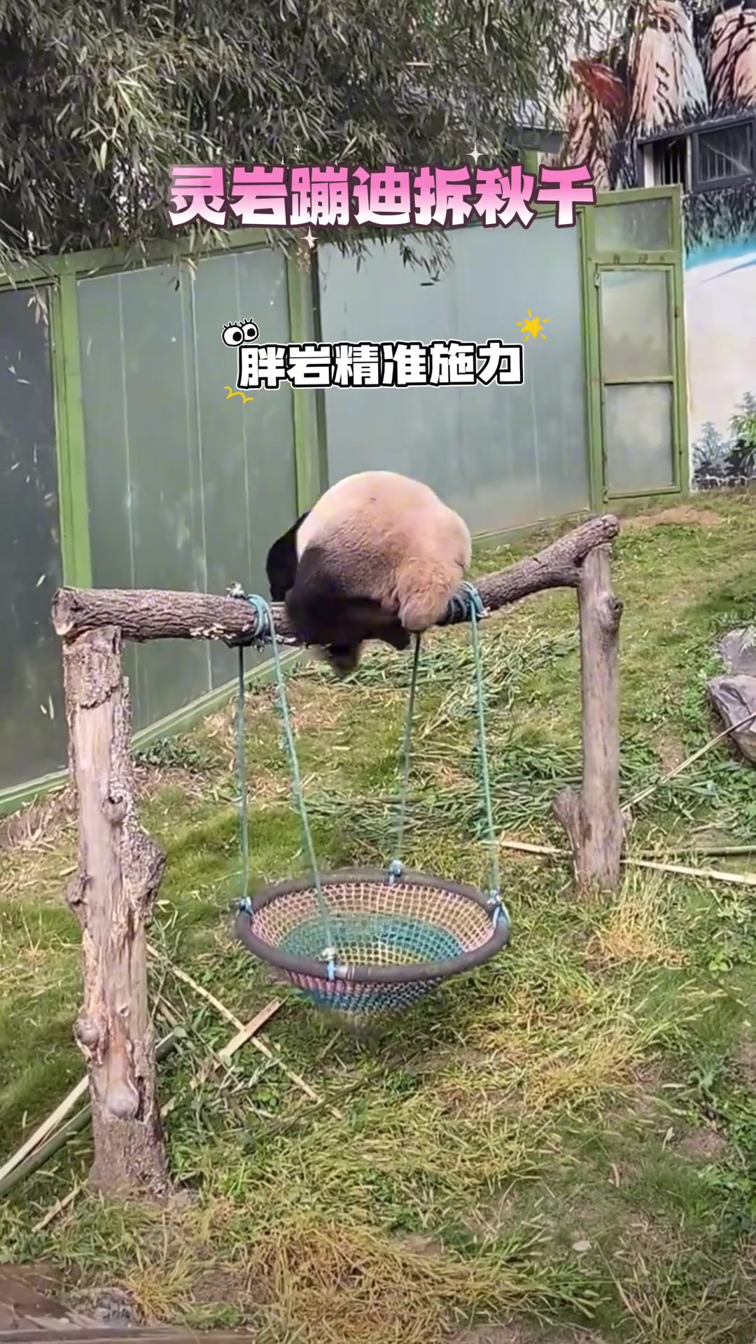 灵岩今日战绩：秋千卒