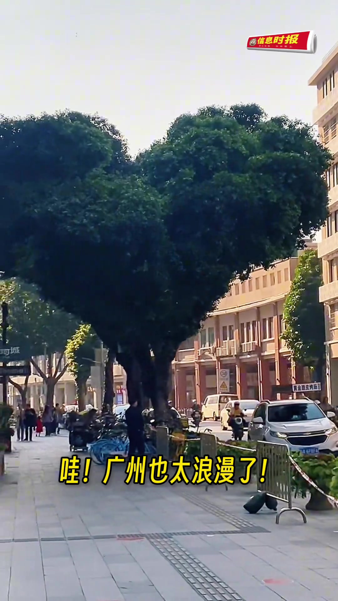 爱具象化了！广州北京路现“爱心树”