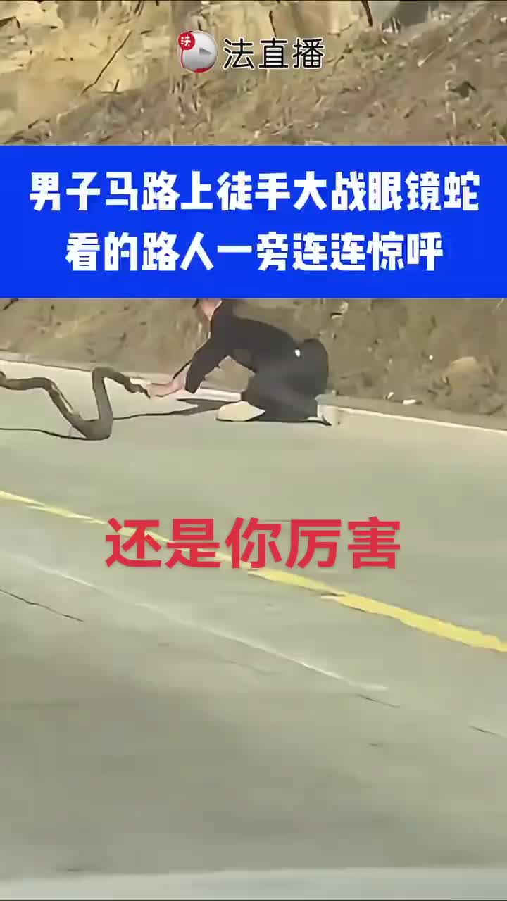 这是眼镜王蛇，剧毒，好斗，力气大！