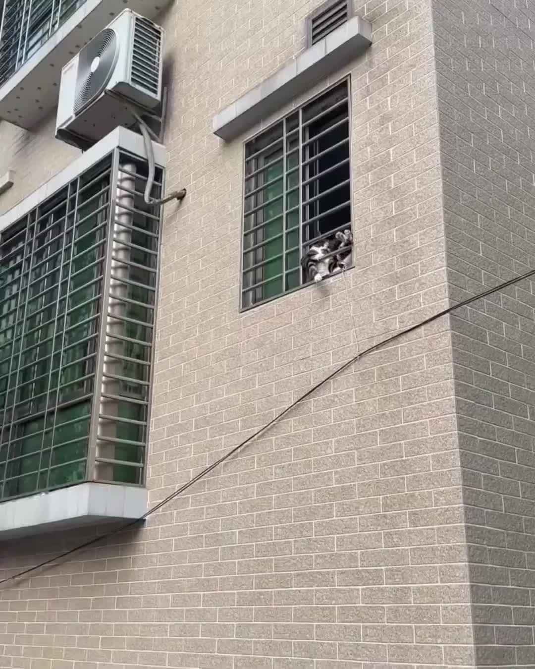这该死的松弛感，为什么它不用上班