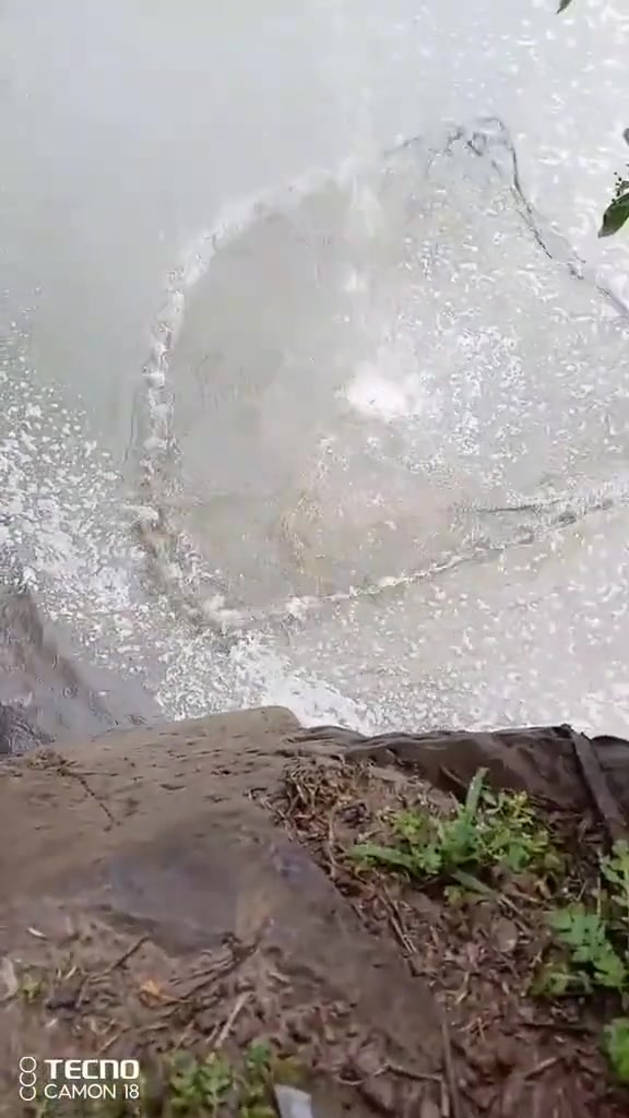 那个男人又来了