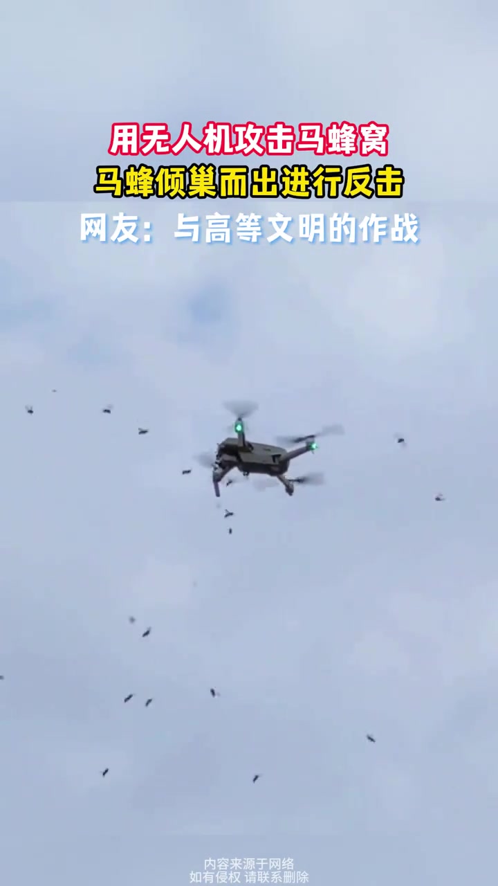 用无人机攻击马蜂窝，马蜂倾巢而出进行反击