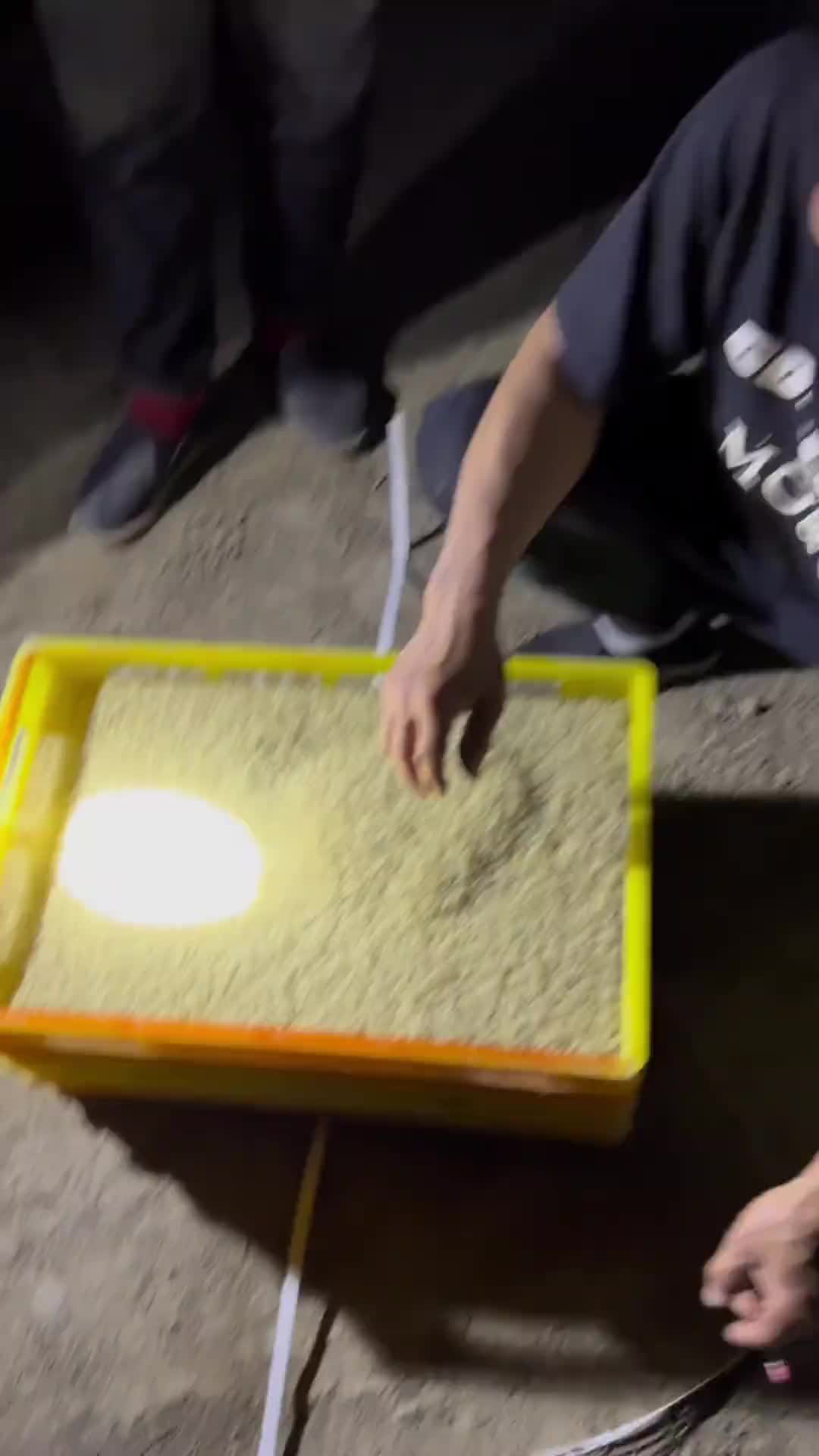简短的看一下稻田蟹的生长过程，你们觉得两年它能长多大